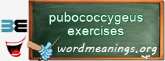 WordMeaning blackboard for pubococcygeus exercises